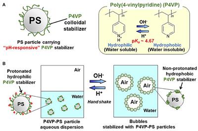 pH-Responsive Aqueous Bubbles Stabilized With Polymer Particles Carrying Poly(4-vinylpyridine) Colloidal Stabilizer